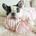 Load image into Gallery viewer, Sweetheart Pillow Plush Dog Toy
