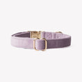 Load image into Gallery viewer, 'Lilac' - Velvet Dog Collar