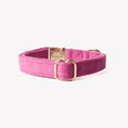 Load image into Gallery viewer, 'Magenta' - Velvet Dog Collar