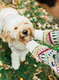 Load image into Gallery viewer, Mistletoe Sweater (Dog & Kids)