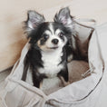 Load image into Gallery viewer, OLLA Petite Dog Carrycot