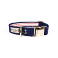 Load image into Gallery viewer, Anchors Away Nautical Buckle & Martingale Dog Collar