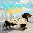 Load image into Gallery viewer, Cabana Club Dog Coat