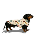 Load image into Gallery viewer, Cabana Club Dog Coat