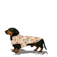 Load image into Gallery viewer, Dachshunds & Daisies Dog Coat