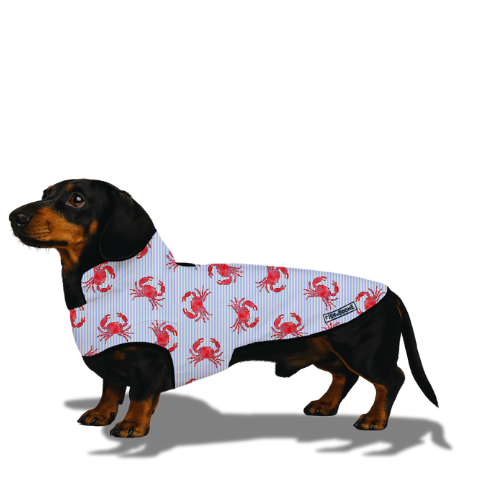 Lowcountry Proper Dog Coat