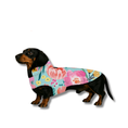 Load image into Gallery viewer, Southern Bloom Dog Coat