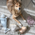 Load image into Gallery viewer, Oyster Pop Enrichment Dog Toy