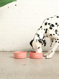 Load image into Gallery viewer, Gimme Ceramic Dog Bowl
