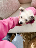Load image into Gallery viewer, Pupto Pink Comfort Hoodie