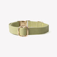 Load image into Gallery viewer, 'Green' - Canvas Dog Collar
