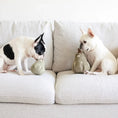 Load image into Gallery viewer, Butternut Silent Enrichment Dog Toy with Ultrasonic Squeakers
