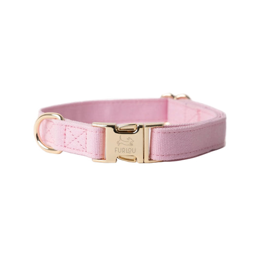 'Pink' - Canvas Dog Collar