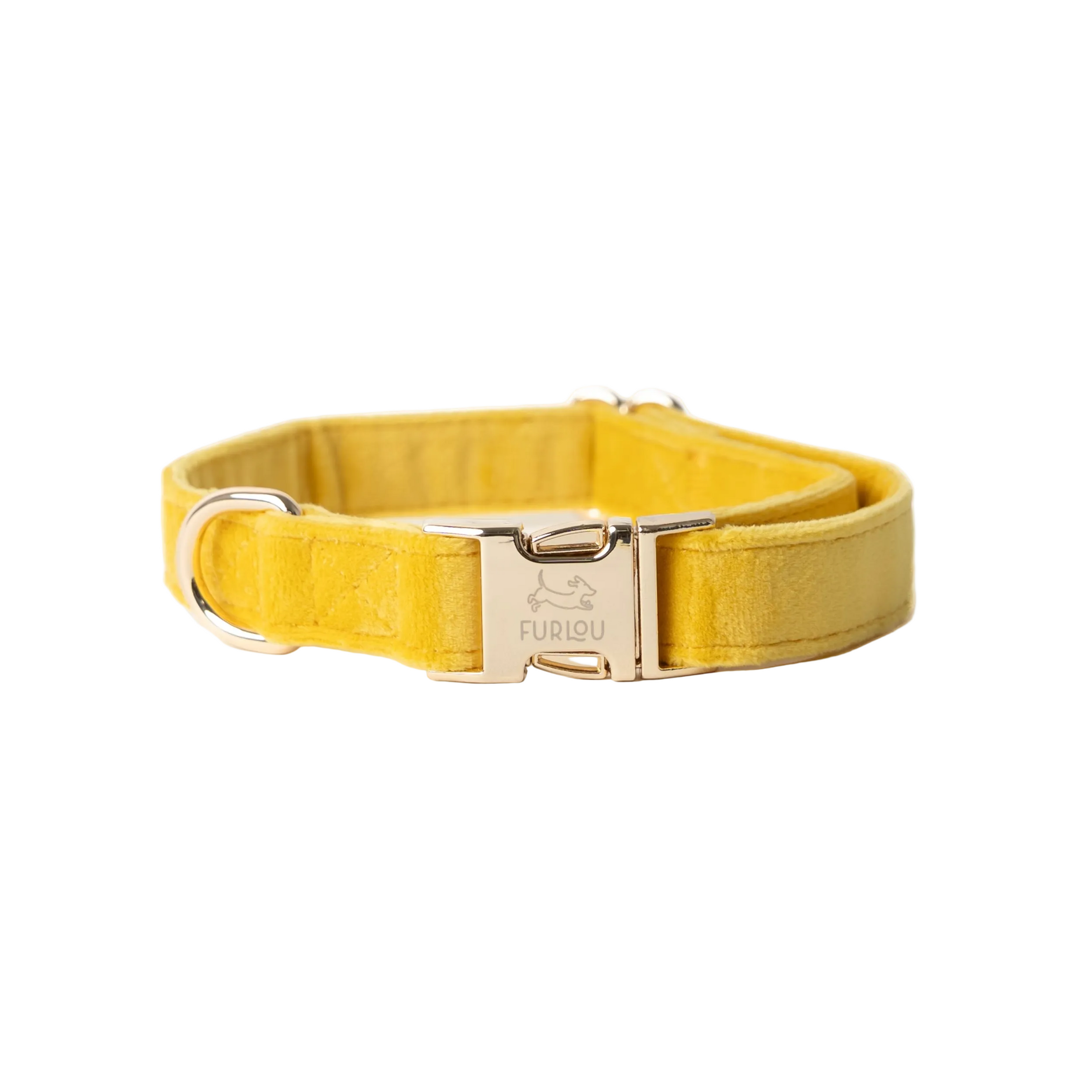 'Yellow' - Velvet Dog Collar