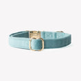 Load image into Gallery viewer, 'Blue' - Velvet Dog Collar
