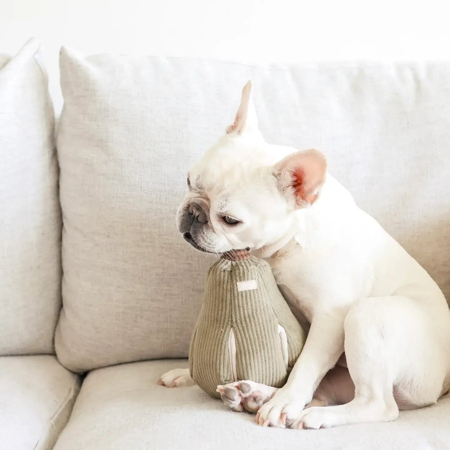 Butternut Silent Enrichment Dog Toy with Ultrasonic Squeakers