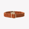 Load image into Gallery viewer, 'Clay' - Velvet Dog Collar
