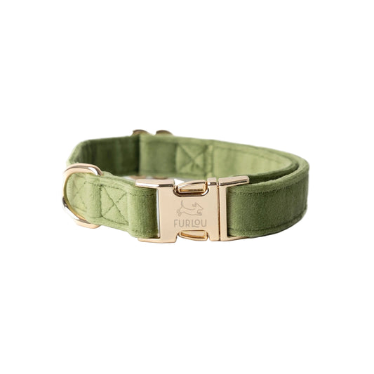'Green' - Velvet Dog Collar