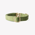 Load image into Gallery viewer, 'Green' - Velvet Dog Collar
