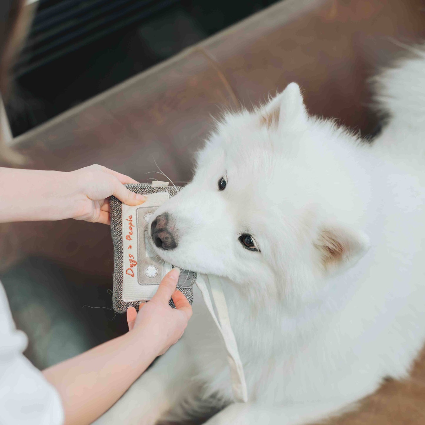Cassette Tape Enrichment Dog Toy
