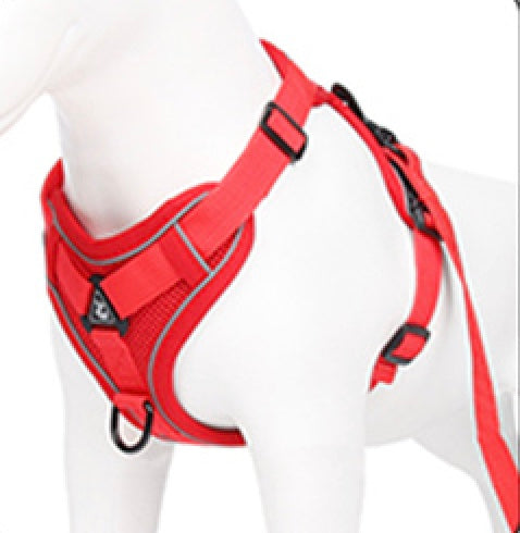 The Ultimate Dachshund Harness