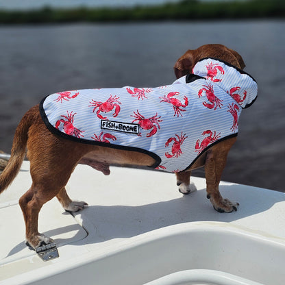 Dog wearing a coat with crab pattern on a boat