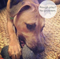 Load image into Gallery viewer, Fish+Boone Tweed Dog Toy
