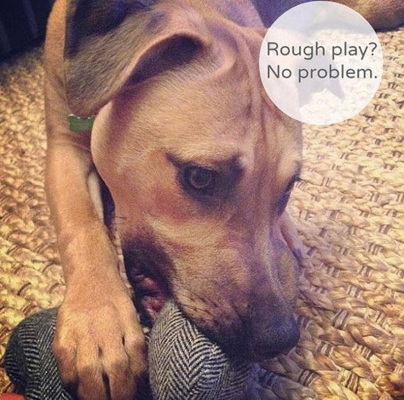 Fish+Boone Tweed Dog Toy