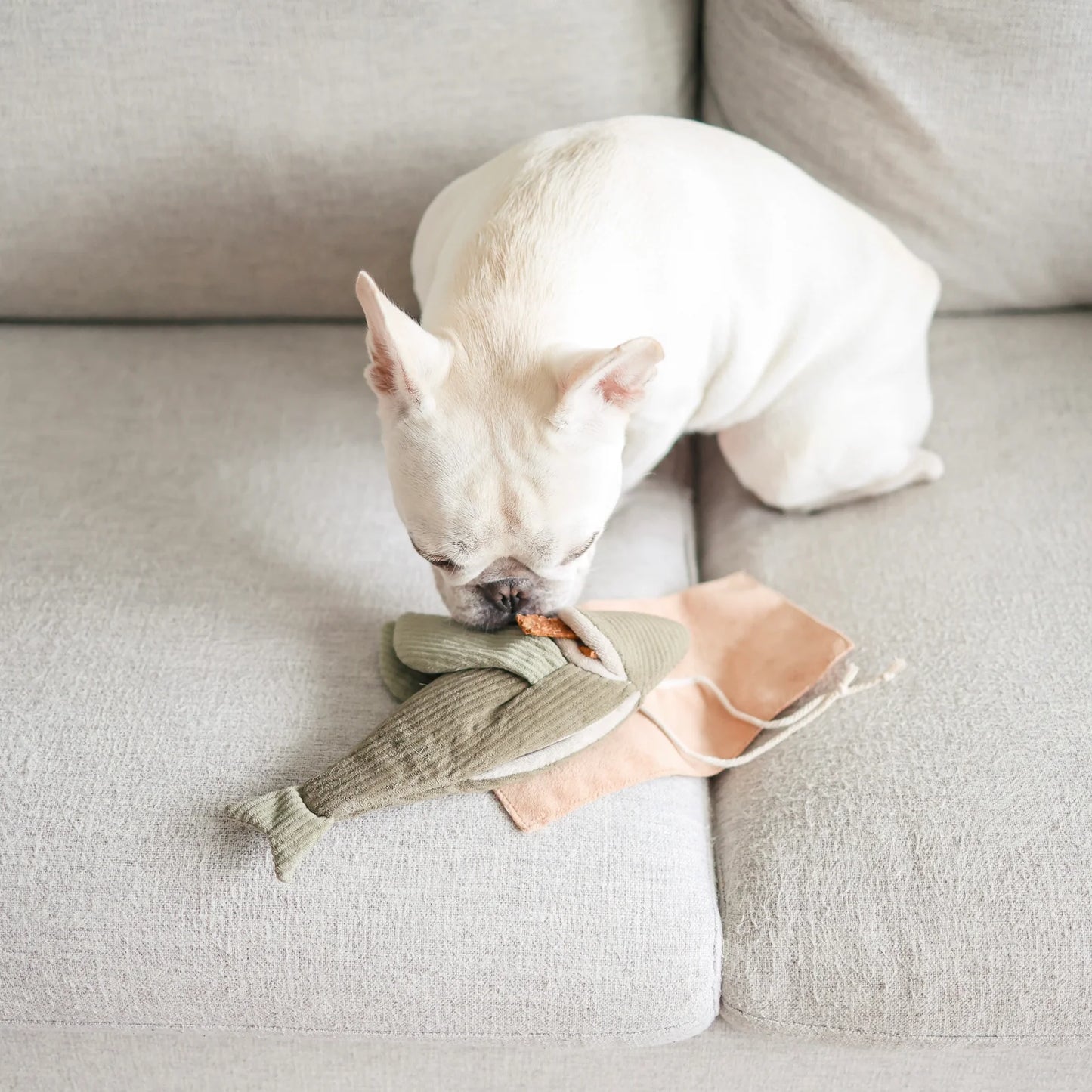 Flying Fish Enrichment Dog Toy