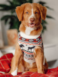 Load image into Gallery viewer, The Great Yukon Sweater (Dog & Kids)

