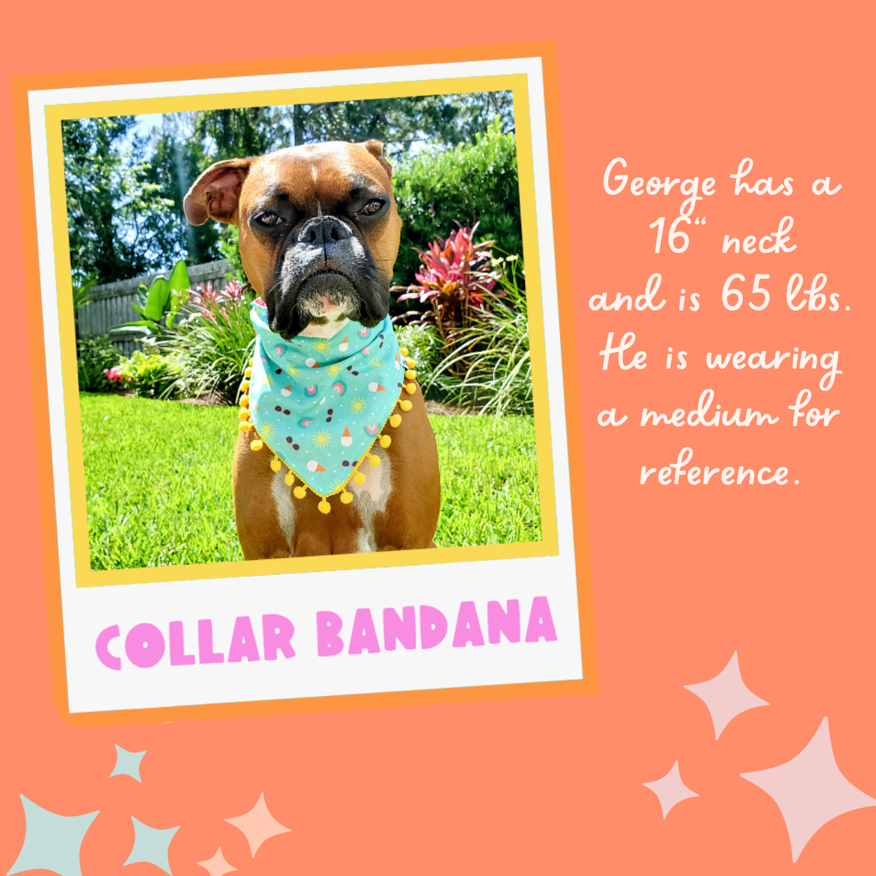 Beach Day Reversible Slip-On Dog Collar Bandana