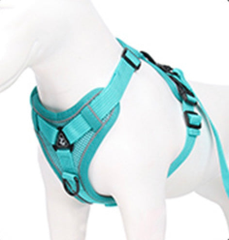 The Ultimate Dachshund Harness