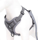 The Ultimate Dachshund Harness