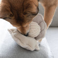 Load image into Gallery viewer, Oyster Pop Enrichment Dog Toy
