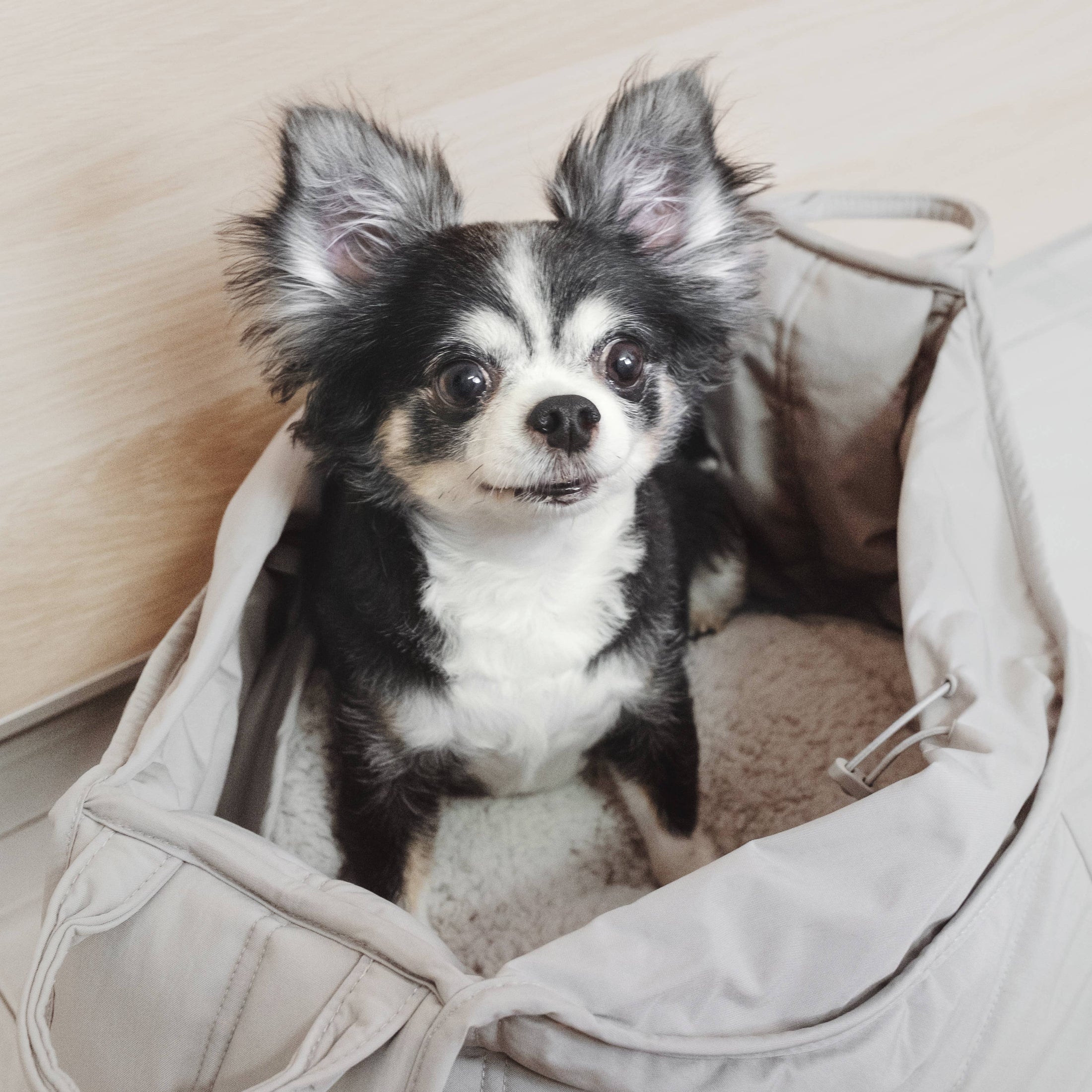 OLLA Petite Dog Carrycot