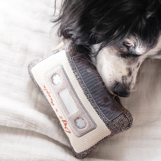 Cassette Tape Enrichment Dog Toy