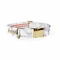 Load image into Gallery viewer, Carta Marina Light Vintage Nautical Toile Buckle & Martingale Dog Collar
