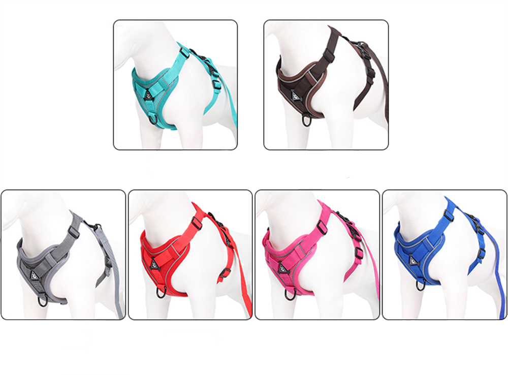 The Ultimate Dachshund Harness