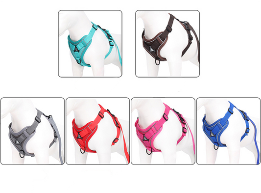 The Ultimate Dachshund Harness