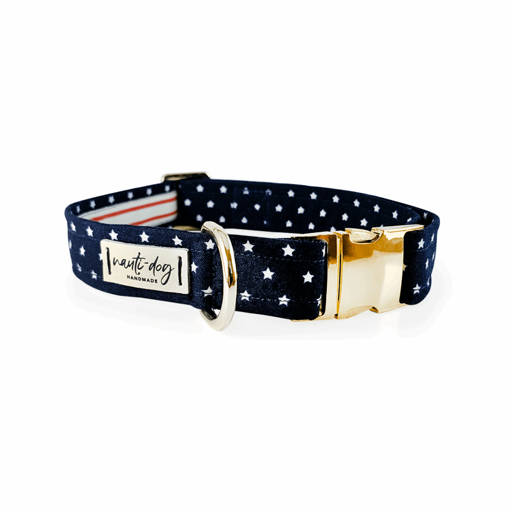 Independence Patriotic American Star Navy Buckle & Martingale Dog Collar