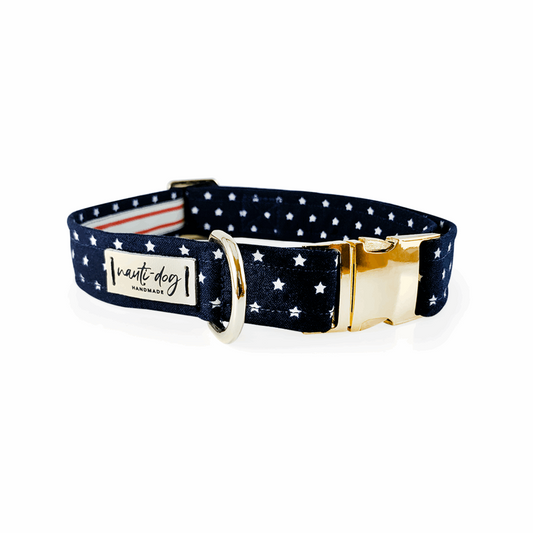 Independence Patriotic American Star Navy Buckle & Martingale Dog Collar