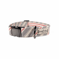 Load image into Gallery viewer, Liberty Patriotic American Woven Stripe Buckle & Martingale Dog Collar
