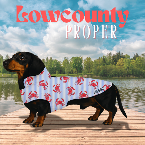 Lowcountry Proper Dog Coat