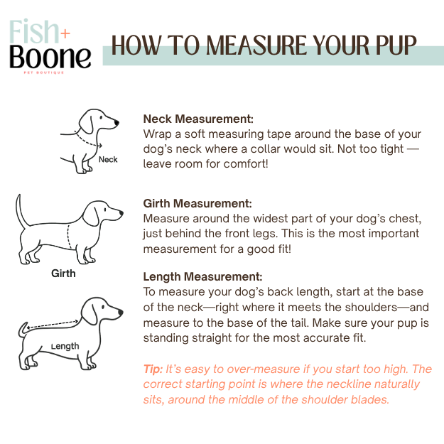 Measuring Guide