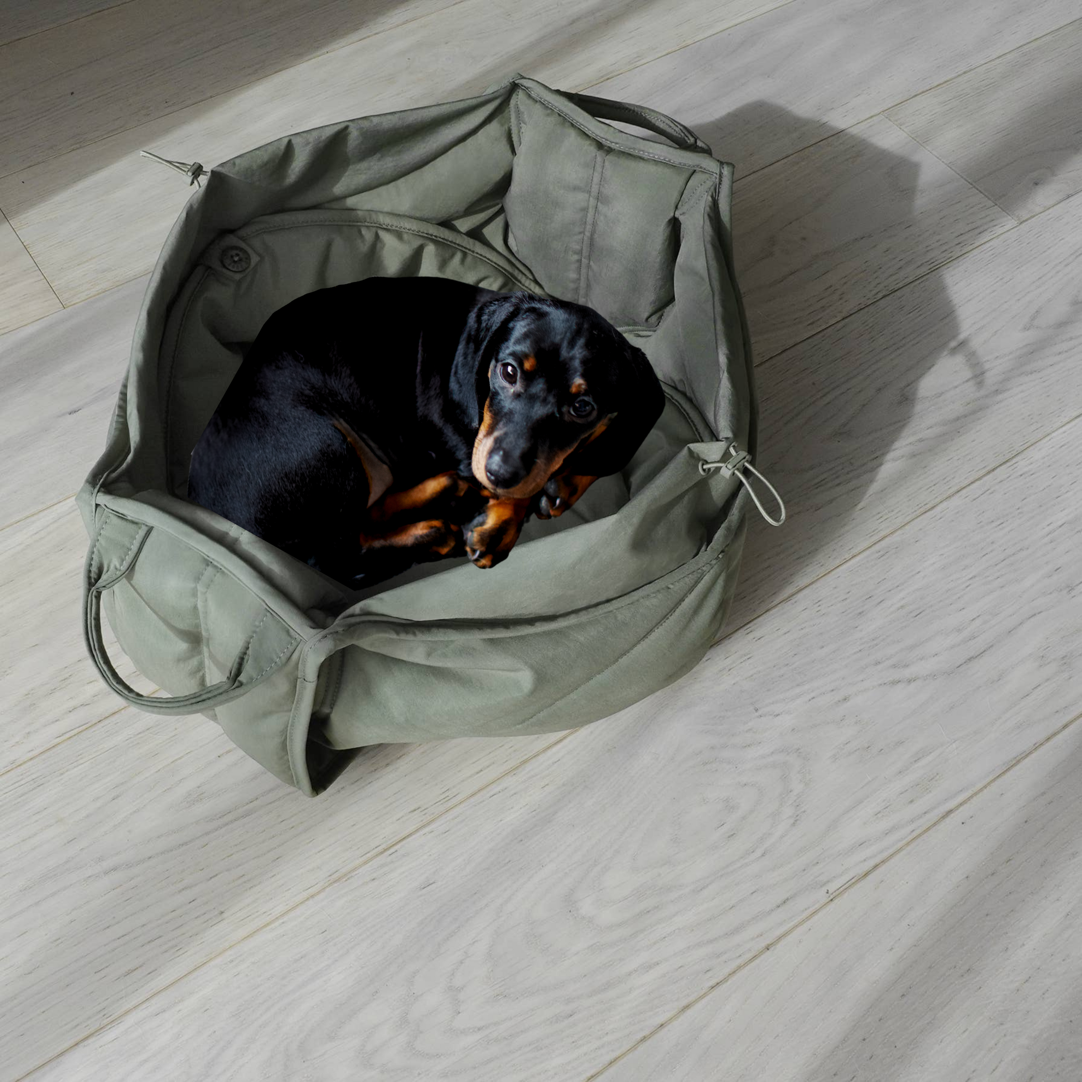 OLLA Petite Dog Carrycot