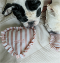 Load image into Gallery viewer, Sweetheart Pillow Plush Dog Toy
