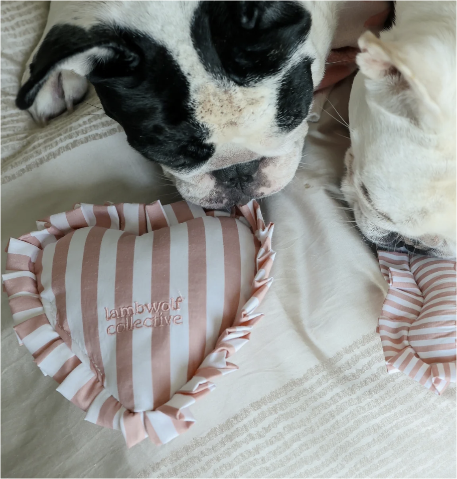 Sweetheart Pillow Plush Dog Toy