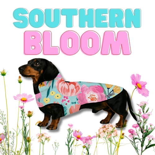 Southern Bloom Dog Coat