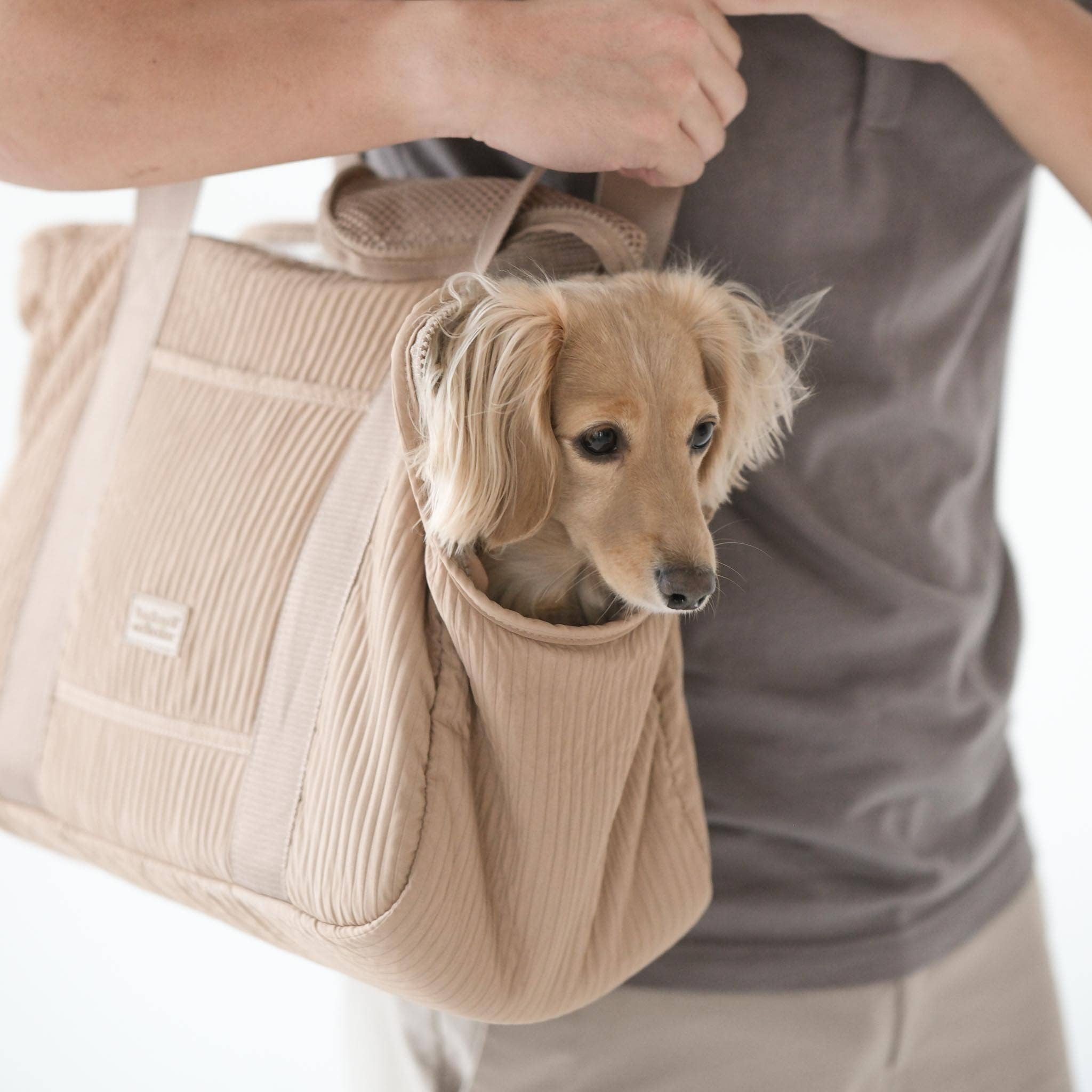 City Lightweight Full Closure Pet Carrier