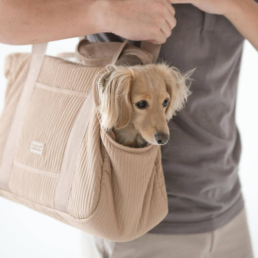 City Lightweight Full Closure Pet Carrier